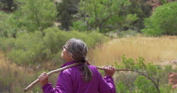 Öreg Női Felfedező Élvezi Szabadban Miközben Halott Faágat Tart Senior — Stock videók