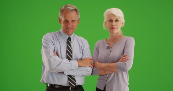 Retrato Profesionales Negocios Senior Sonriendo Cámara Pantalla Verde Pantalla Verde — Vídeo de stock