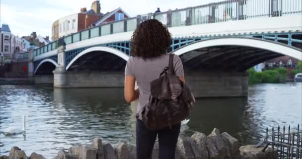 Vue Arrière Une Touriste Noire Windsor Prenant Des Photos Cygnes — Video