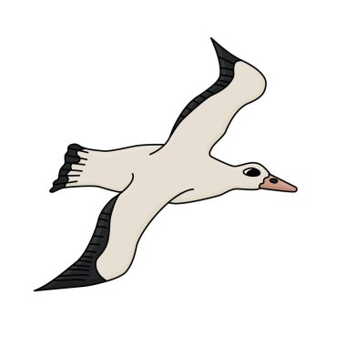 Albatros deniz kuşu. Vektör karikatür el, Antarktika 'daki hayvanın izole edilmiş bir resmini çizdi. Kutup karakteri kuş uçuyor, beyaz arka plana çizim yapıyor..