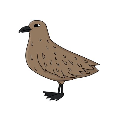 Skua kuşu karda. Vektör el, beyaz arka planda çocukça izole edilmiş çizgi film çizimi. Antarktika 'da kutup hayvanı.