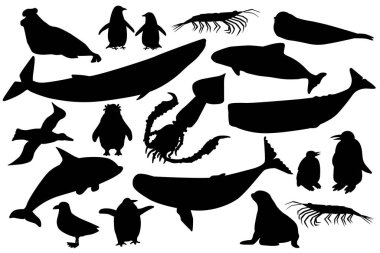 Antarktika 'da vektör silueti siyah hayvan kümesini şekillendirir. El yapımı balina, penguen, skua, krill, fok, yunus balığı koleksiyonu.