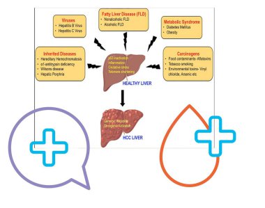 İzole edilmiş beyaz arkaplanı olan klinik insan vücudu diyagramı. 
