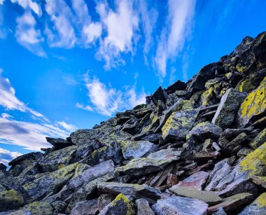 delicious and tasty pumpkin pie with merengue in section 