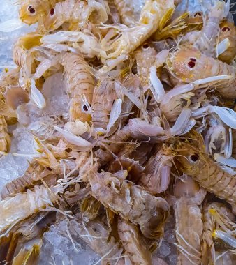 fresh fish in the market, shrimps, 