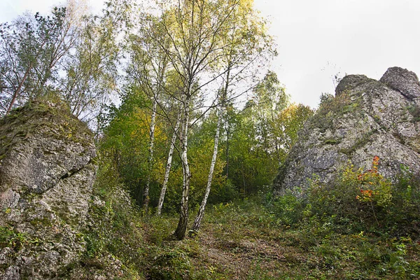 Paysage Automne Rocher Dans Une Forêt Automne — Photo