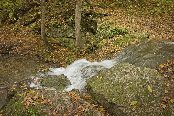 Ein Waldbach Mit Wasserfall Herbstlichen Wald — Stockfoto