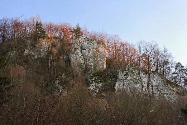 Herbstlandschaft Ein Fels Einem Herbstlichen Wald — Stockfoto