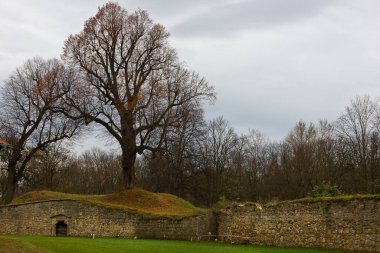 An autumn landscape with bare fallen trees and an old stone wall