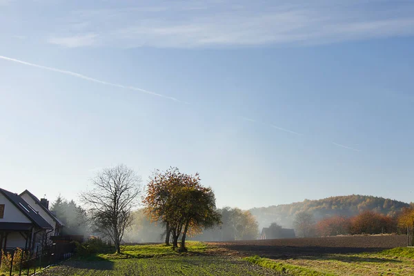 a smoke-filled field with autumn trees in the background