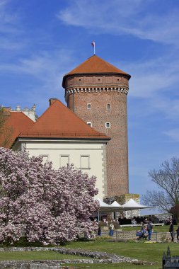  Wawel Kraliyet Sarayı İlkbaharda Krakow, Polonya 'da Çiçeklerde