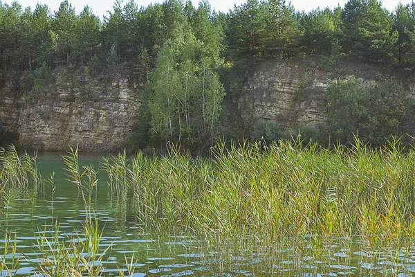 Turkusowe Jezioro Stromymi Brzegami Porośnięte Osadami — Zdjęcie stockowe
