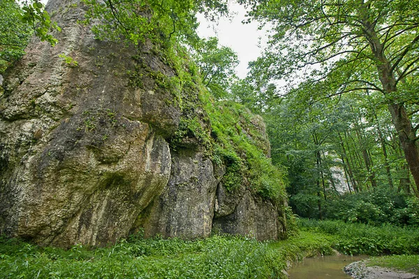 Una Roca Bosque Orillas Arroyo —  Fotos de Stock