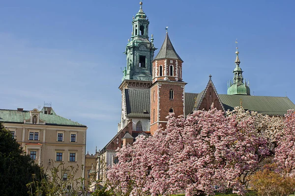 Palazzo Reale Wawel Primavera Fiori Cracovia Polonia — Foto Stock
