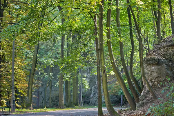 Дорога Літньому Парку Біля Скелі Серед Дерев — стокове фото