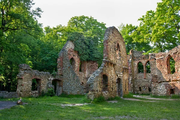 Ruínas Antigas Castelo Stary Ksienzh Walbrzych Polônia — Fotografia de Stock