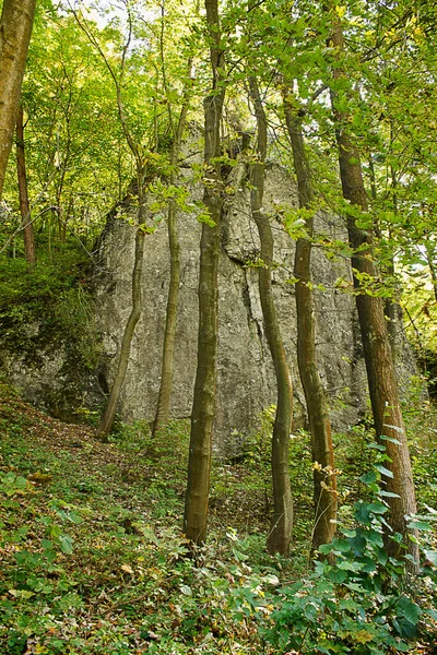 Autumn Landscape Rock Yellow Autumn Forest — Stock Fotó