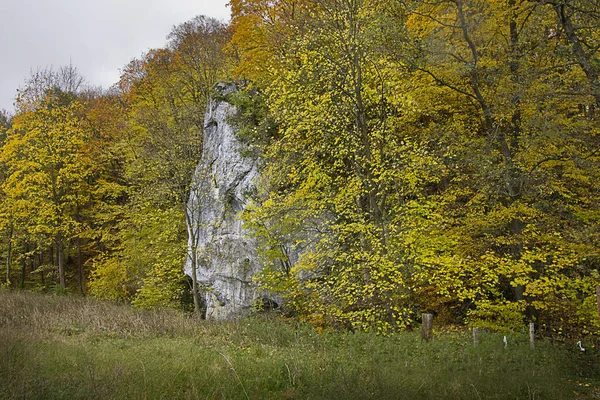 Autumn Landscape Rock Yellow Autumn Forest — Stock Photo, Image