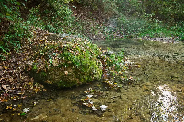 Une Grande Roche Couverte Mousse Sur Rive Ruisseau Forestier — Photo