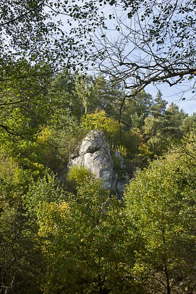 Letní Krajina Skála Lese Mezi Zelenými Houštinami — Stock fotografie