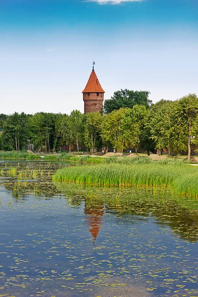 Tower Malbork Castle Riverbank Malbork Poland — Stock Photo, Image
