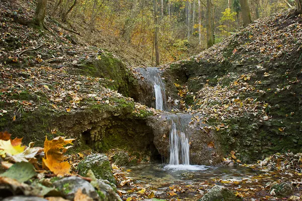秋天森林里有小瀑布的风景 — 图库照片