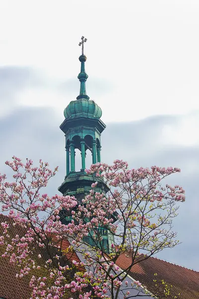 A close-up of the Catholic Church bell tower and a magnolia tree in bloom with pink flowers