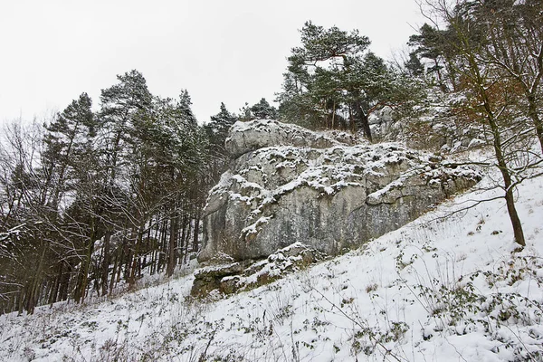 winter landscape of the rock in the forest. Nature of Poland