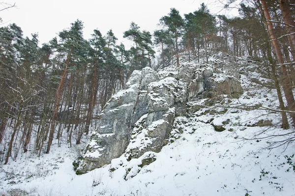 Paisaje Invernal Con Una Roca Cubierta Nieve Bosque Pinos —  Fotos de Stock