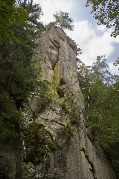 Krajobraz Malownicza Skała Pokryta Lasem — Zdjęcie stockowe