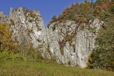 Sonbahar manzarası. Sonbahar ormanında bir kaya