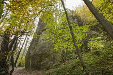 Ormanda resimli kayaların olduğu sonbahar manzarası. Polonya 'nın Doğası