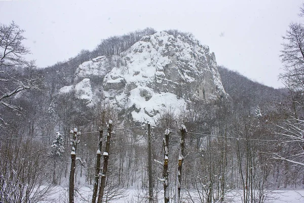 Winter landscape. A rock in a snowy winter forest