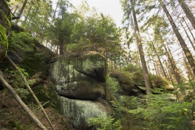 Resimli kayalıkları olan orman manzarası. Polonya 'nın Doğası