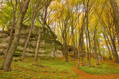 Ormanda resimli kayaların olduğu sonbahar manzarası. Polonya 'nın Doğası