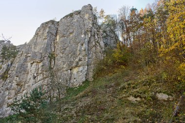 Sonbahar manzarası. Sonbahar ormanında bir kaya