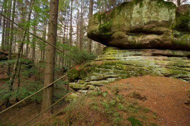 Resimli kayalıkları olan orman manzarası. Polonya 'nın Doğası