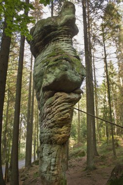 Resimli kayalıkları olan orman manzarası. Polonya 'nın Doğası