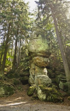 Resimli kayalıkları olan orman manzarası. Polonya 'nın Doğası