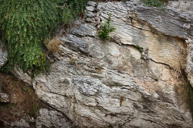 Kaya yüzeyinin arka planında büyüyen otlar var.