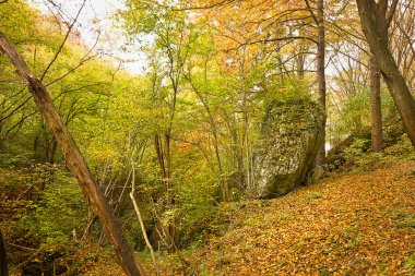 Ormanda resimli kayaların olduğu sonbahar manzarası. Polonya 'nın Doğası