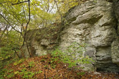 Ormanda resimli kayaların olduğu sonbahar manzarası. Polonya 'nın Doğası