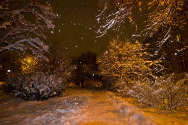 Kış manzarası. Fenerlerin ışığında karlı bir akşam parkı.