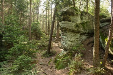 Resimli kayalıkları olan orman manzarası. Polonya 'nın Doğası