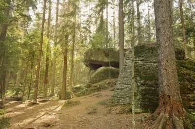 Resimli kayalıkları olan orman manzarası. Polonya 'nın Doğası