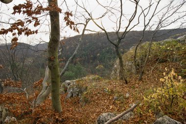 Sonbahar manzarası. Dağın tepesinden manzara.