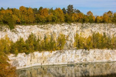 Göl kıyısında sarı ağaçlı sonbahar manzarası. 