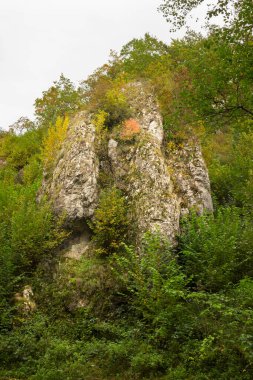Sonbahar manzarası. Sarı sonbahar ormanında resimli kaya..