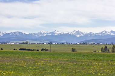 Polonyalı Tatra manzarası. Ufukta dağlar görünen manzara.