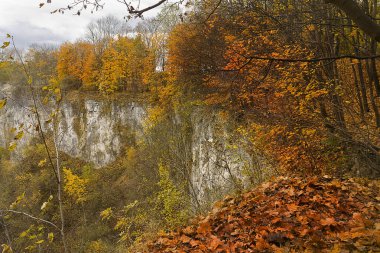 Sonbahar manzarası. Kayalık bir uçurumun kenarındaki orman. Sarı sonbahar ağaçları.